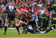 30 May 2015; CJ Stander, Munster, is tackled by Ryan Wilson, left, and Rossouw De Klerk, Glasgow Warriors. Guinness PRO12 Final, Munster v Glasgow Warriors. Kingspan Stadium, Ravenhill Park, Belfast. Photo by Sportsfile