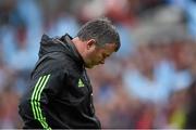 30 May 2015; Munster head coach Anthony Foley. Guinness PRO12 Final, Munster v Glasgow Warriors. Kingspan Stadium, Ravenhill Park, Belfast.  Photo by Sportsfile