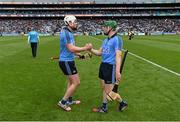 31 May 2015; Liam Rushe, left, and Johnny McCaffrey, Dublin, after the game. Leinster GAA Hurling Senior Championship, Quarter-Final, Dublin v Galway. Croke Park, Dublin. Picture credit: Stephen McCarthy / SPORTSFILE