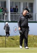 31 May 2015; Shane Lowry, Ireland, completes his final round. Dubai Duty Free Irish Open Golf Championship 2015, Final Day. Royal County Down Golf Club, Co. Down. Picture credit: John Dickson / SPORTSFILE