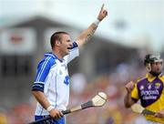 27 July 2008; Dan Shanahan celebrates a late point for Waterford. GAA Hurling All-Ireland Senior Championship Quarter-Final, Wexford v Waterford, Semple Stadium, Thurles, Co. Tipperary. Picture credit: Ray McManus / SPORTSFILE