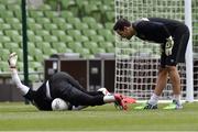 3 June 2015; Republic of Ireland goalkeepers David Forde, right, and Shay Given during squad training. Republic of Ireland Squad Training, Aviva Stadium, Lansdowne Road, Dublin. Picture credit: David Maher / SPORTSFILE