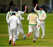 3 June 2015; With their hands in the air, John Mooney , left, bowler, and Tim Murtagh ,right, fielder, Ireland, congratulate each other on the dismissal of Amjad Ali, United Arab Emirates. ICC InterContinental Cup, Ireland v United Arab Emirates, Malahide Cricket Club, Malahide, Co. Dublin. Picture credit: Seb Daly / SPORTSFILE