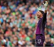 7 June 2015; Keiren Westwood, Republic of Ireland, shouts instructions to his team mates. Three International Friendly, Republic of Ireland v England. Aviva Stadium, Lansdowne Road, Dublin. Picture credit: Seb Daly / SPORTSFILE