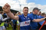 7 June 2015; Laois's Cahir Healy celebrates after the game. Leinster GAA Hurling Senior Championship Quarter-Final, Laois v Offaly. O'Moore Park, Portlaoise, Co. Laois. Picture credit: Matt Browne / SPORTSFILE