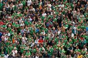 7 June 2015; Supporters watch on during the first half. Three International Friendly, Republic of Ireland v England. Aviva Stadium, Lansdowne Road, Dublin. Picture credit: Ramsey Cardy / SPORTSFILE