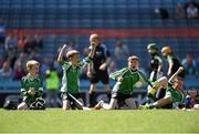 9 June 2015; St. Mary's BNS, Lucan, players from left, James Ryan, Liam Garrigan, Calum Ward and Cian Canavan celebrate a goal during their game against Scoil San Treasa. Allianz Cumann na mBunscol Finals, Croke Park, Dublin. Photo by Sportsfile