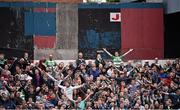 12 June 2015; Shamrock Rovers supporters during the game. SSE Airtricity League Premier Division, Bohemians v Shamrock Rovers. Dalymount Park, Dublin. Picture credit: David Maher / SPORTSFILE