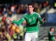 13 June 2015; Kyle Lafferty, Northern Ireland, reacts after a refereeing decison. UEFA EURO 2016 Championship Qualifier, Group F, Northern Ireland v Romania, Windsor Park, Belfast, Co. Antrim. Picture credit: Oliver McVeigh / SPORTSFILE