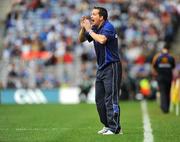 17 August 2008; Waterford manager Davy Fitzgerald. GAA Hurling All-Ireland Senior Championship Semi-Final, Tipperary v Waterford, Croke Park, Dublin. Picture credit: Stephen McCarthy / SPORTSFILE