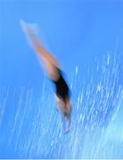 19 June 2015; Marharita Dzhusova, Ukraine, competes in the preliminary round of the Women's Diving 1m Springboard event. 2015 European Games, European Games Park, Baku, Azerbaijan. Picture credit: Stephen McCarthy / SPORTSFILE