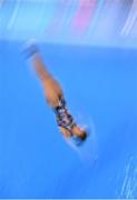 19 June 2015; Kaja Skrzek, Poland, competes in the preliminary round of the Women's Diving 1m Springboard event. 2015 European Games, European Games Park, Baku, Azerbaijan. Picture credit: Stephen McCarthy / SPORTSFILE