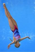 19 June 2015; Louisa Stawczynski, Germany, competes in the preliminary round of the Women's Diving 1m Springboard event. 2015 European Games, European Games Park, Baku, Azerbaijan. Picture credit: Stephen McCarthy / SPORTSFILE