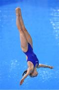 19 June 2015; Josefin Schneider, Germany, competes in the preliminary round of the Women's Diving 1m Springboard event. 2015 European Games, European Games Park, Baku, Azerbaijan. Picture credit: Stephen McCarthy / SPORTSFILE