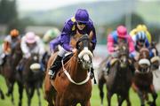 31 August 2008; Baron De'l, with Fran Berry up, on their way to winning the Mooney's of Monasterevin Handicap. Curragh Racecourse, Co. Kildare. Picture credit: Matt Browne / SPORTSFILE