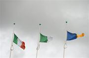 21 June 2015; Flags fly at half-mast during a munite silence in memory of the those who died and were injured in the 'Berkeley' tragedy. Munster GAA Hurling Senior Championship, Semi-Final, Limerick v Tipperary, Gaelic Grounds, Limerick. Picture credit: Brendan Moran / SPORTSFILE