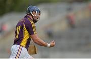 24 June 2015; Kevin Foley, Wexford, celebrates scoring a second half point. Bord Gáis Energy Leinster GAA Hurling U21 Championship, Semi-Final, Offaly v Wexford. O'Connor Park, Tullamore, Co. Offaly. Picture credit: Piaras Ó Mídheach / SPORTSFILE
