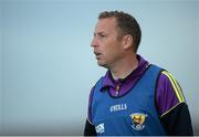 24 June 2015; Wexford manager JJ Doyle. Bord Gáis Energy Leinster GAA Hurling U21 Championship, Semi-Final, Offaly v Wexford. O'Connor Park, Tullamore, Co. Offaly. Picture credit: Piaras Ó Mídheach / SPORTSFILE