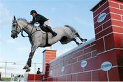 26 June 2015; Sven Hadley of Co. Galway competing on Bellscross Cruisetown during The Devenish Puissance competition of the Final Leg of Jumping In The City. Shelbourne Park Greyhound Stadium, Ringsend, Dublin. Picture credit: Cody Glenn / SPORTSFILE