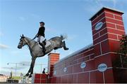 26 June 2015; Jason Higgins competing on Hadine Van't Zorgvliet in the Devenish Puissance during the Final Leg of Jumping In The City. Shelbourne Park Greyhound Stadium, Ringsend, Dublin. Picture credit: Cody Glenn / SPORTSFILE