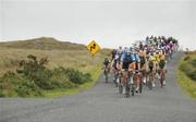 29 August 2008; A general view of the peloton as the race approaches Leenaun, Co. Galway. 2008 Tour of Ireland - Stage 3, Ballinrobe - Galway. Picture credit: Stephen McCarthy / SPORTSFILE