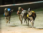 13 September 2008; Shelbourne Aston races clear of Slip the Lark, right, Headleys Bridge, second from left, and Ballymac Ruso, left, on its way to winning the Paddy Power Irish Greyhound Derby. Paddy Power Irish Greyhound Derby, Shelbourne Park, Ringsend, Dublin. Picture credit; Damien Eagers / SPORTSFILE
