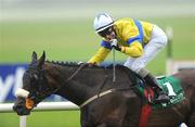 14 September 2008; Jumbajukiba, with Fran Berry up, after winning The Ascon Rohcon Solonaway Stakes, Group 3. Bank of Scotland, Ireland, National Stakes race day at the Curragh. Curragh Racecourse, Co. Kildare. Photo by Sportsfile  *** Local Caption ***