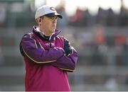 4 July 2015; Wexford manager Colm McGee. Liberty Insurance Camogie Championship, Wexford v Limerick. Innovate Wexford Park, Wexford. Picture credit: Matt Browne / SPORTSFILE