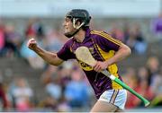 8 July 2015; Shane Murphy, Wexford, celebrates after the final whistle. Bord Gáis Energy Leinster GAA Hurling U21 Championship Final, Wexford v Kilkenny, Innovate Wexford Park, Wexford. Picture credit: Matt Browne / SPORTSFILE