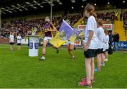 8 July 2015; Wexford captain Eoin Conroy leads his team out. Bord Gáis Energy Leinster GAA Hurling U21 Championship Final, Wexford v Kilkenny, Innovate Wexford Park, Wexford. Picture credit: Matt Browne / SPORTSFILE