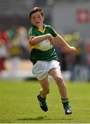 5 July 2015; Jack Sheehan, Abbeydorney NS, Kerry, during the Munster GAA Primary Game. Munster GAA Football Senior Championship Final, Kerry v Cork. Fitzgerald Stadium, Killarney, Co. Kerry. Picture credit: Stephen McCarthy / SPORTSFILE