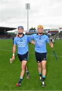 11 July 2015; Dublin's Daire Plunkett, left, and Paul Schutte after the game. GAA Hurling All-Ireland Senior Championship, Round 2, Dublin v Limerick, Semple Stadium, Thurles, Co. Tipperary. Picture credit: Ray McManus / SPORTSFILE