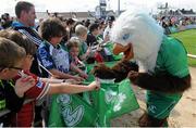14 July 2015; Connacht mascot Eddie the Eagle signs flags for supporters during Ireland squad training. Sportsground, Galway. Picture credit: Seb Daly / SPORTSFILE