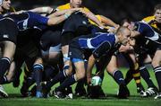 18 October 2008; Chris Whitaker, Leinster. Heineken Cup, Pool 2 Round 2, Leinster v London Wasps, RDS, Dublin. Picture credit: Stephen McCarthy / SPORTSFILE