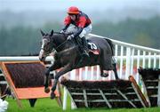 29 October 2008; Prince Rudi, with Alain Cawley up, jumps the last on the way to winning the Kildare Maiden Hurdle, Punchestown Racecourse, Naas, Co. Kildare. Picture credit: Matt Browne / SPORTSFILE