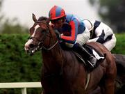 9 September 2000; King Charlemagne, with Mick Kinane up, win's the Beecheood European Breeders Fund Maiden from Dr Dignity with Pat Shanahan during horse racing from Leopardstown in Dublin. Photo by Matt Browne/Sportsfile