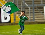 25 July 2015; Three year old Fermanagh supporter Finn McCallion, from Belcoo, Co Fermanagh, flying his team's flag after the game. GAA Football All-Ireland Senior Championship, Round 4A, Fermanagh v Westmeath. Kingspan Breffni Park, Cavan. Picture credit: Oliver McVeigh / SPORTSFILE