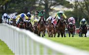 27 July 2015; Modem, centre, with Kate Harrington up, on their way to winning The Connacht Hotel (Q.R.) Handicap. Galway Racing Festival. Ballybrit, Galway. Picture credit: Cody Glenn / SPORTSFILE