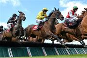29 July 2015; Lilly The Lioness, centre, with Mark Enright up, clears the fourth hurdle on their way to winning the Download The Tote Mobile App European Breeders Fund Mares Handicap Hurdle. Galway Racing Festival, Ballybrit, Galway. Picture credit: Cody Glenn / SPORTSFILE