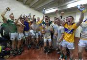 30 July 2015; Limerick players celebrate following their victory. Bord Gáis Energy Munster GAA Hurling U21 Championship Final, Clare v Limerick. Cusack Park, Ennis, Co. Clare. Picture credit: Stephen McCarthy / SPORTSFILE