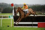 16 November 2008; Topofthemornintou, with Johnny Allen up, on the way to winning the www.punchestown.com Handicap. Horse Racing, Punchestown Racecourse, Co. Kildare. Picture credit: Ray McManus / SPORTSFILE