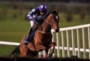 23 November 2008; Dunroe Lady, with Ian McCarthy up, jumps the last on the way to winning the williamhillcasino.com Handicap Hurdle. Navan Racecourse, Co. Meath. Photo by Sportsfile