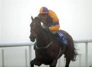 29 November 2008; The Last Derby, with David Casey up, on their way to winning the Kildownet Group Novice Hurdle. Fairyhouse Winter Festival 2008, Fairyhouse Racecourse, Co. Meath. Photo by Sportsfile