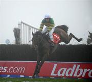 29 November 2008; Arbor Supreme, with Paul Townend up, jumps the last on the way to winning the Ladbrokes.com Porterstown Handicap Steeplechase. Fairyhouse Winter Festival 2008. Fairyhouse Racecourse, Co. Meath. Photo by Sportsfile