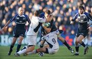 6 December 2008; Devin Toner, Leinster, is tackled by Luc Ducalcon, left, and Kevin Senio, Castres Olympique. Heineken Cup, Pool 2, Round 3, Leinster v Castres Olympique, RDS, Dublin. Picture credit: Brendan Moran / SPORTSFILE
