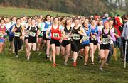 7 December 2008; The start of the Girl's Under 17 race. Woodie’s DIY Novice and Uneven Ages Championships, Ballyhaise, Co Cavan. Picture credit: Tomas Greally / SPORTSFILE