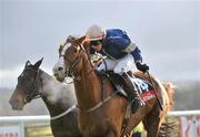 9 December 2008; Persian City, with Paul Townend up, on their way to winning the Oyster Group Maiden hurdle. Punchestown Racecouse, Naas, Co. Kildare. Picture credit: David Maher / SPORTSFILE