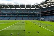 8 August 2015; Birds feed on the pitch ahead of the game. GAA Football All-Ireland Senior Championship Quarter-Final, Monaghan v Tyrone. Croke Park, Dublin. Picture credit: Stephen McCarthy / SPORTSFILE