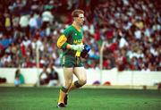 16 August 1992; Donegal goalkeeper Gary Walsh. All Ireland Football Championship semi-final, Mayo v Donegal, Croke Park, Dublin. Picture credit; Ray McManus / SPORTSFILE