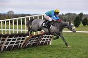 14 December 2008; Donnas Palm, with Paul Carberry up,  clears the last before going on to win the 2009 Navan Membership Hurdle. Navan Racecourse, Navan, Co. Meath. Picture credit: David Maher / SPORTSFILE